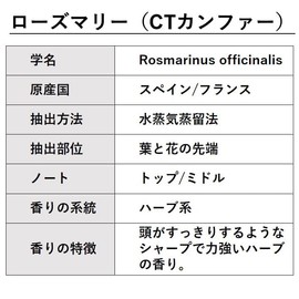 ASH Rosemary (CT Camfer) Essential Oil 100ml AEAJ Certified Essential Oil