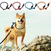 Lyfengdeam Dog Slip Collar Training Dog Collar with Reflective Strips,Puppy