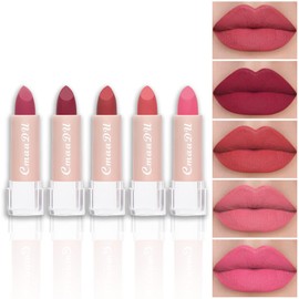 evpct- Juego de 5 lápices labiales mate de color naranja oscuro, rojo, rosa y malva para mujer, lápiz labial rojo sedoso y aterciopelado mate L       