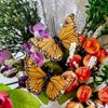YCHTEWY - Monarch Butterfly Decor, Feather Butterfly Decorations Set of
