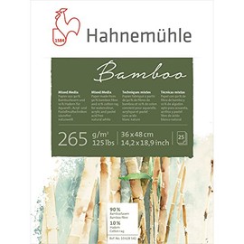 Hahnemuhle Bamboo Mixed Media Pad 14X19 Inche