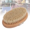 2PCS Set Sweater Cleaning Shaver Set Oval Beech Wood Bristle