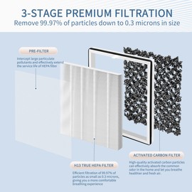Zouhwaso Europa Air Filter Compatible with Afloia Europa Air Puri-fier, 3-in-1 Europa Air Puri-Fier Filter Replacement with H13 True HEPA, Activated Carbon and Pre-Filter, Pack of 2