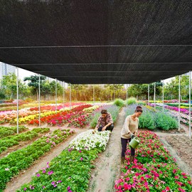 QLOFEI 18x18 FT Shade Cloth for Garden, 80-90% Sunblock Shade Neting Cover with Grommets, Sun Screens for Patio Plants Greenhouse Sun Shade Cloth for Kennel Chicken Coop Pergola Outdoor Sun Shade