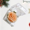 NOLITOY Preserved Flower Box, Single Rose Never Withered Bixes Preserved