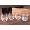 Marumo Takagi Japanese Four Seasons Color Changing Glass Cup Set,