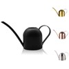 YISSSN Small Watering Can for Indoor Plants, 15oz/450ml Stainless Steel