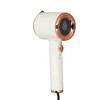 Handheld Garment Steaming Iron 110‑ Portable Fabric Wrinkles Remover Steam