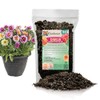 Expert Dahlia Potting Soil Mix by Gardenera - Enhance Growth