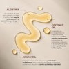 Alfaparf Milano Yellow Professional Nutritive - KIT Shampoo (500 ml)