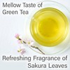 Sakura Green Tea Sencha with Cherry Blossom Petals - Japanese