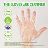 GENERALCARE Disposable Plastic Gloves Food Handling Service Gloves Disposable for