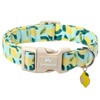 MR.CHUBBYFACE Summer Lemon Dog Collar, Light Adjustable Puppy Collar with
