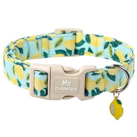 MR.CHUBBYFACE Summer Lemon Dog Collar, Light Adjustable Puppy Collar with Plastic Buckle, Cute Pet Collar for Small Medium Large Dogs