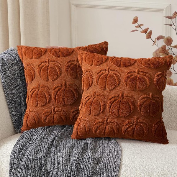 RABUSOFA Fall Pillow Covers16x16 Set of 2 Fall Decorations Autumn