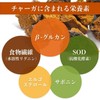 Chaga Pill Bottle, Chaga Power Chaga, Phantom Mushroom, Made in