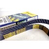 Continental Elite Serpentine Poly-V The Quiet Belt GOODYEAR GATORBACK 4050355