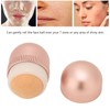 Oil-Absorbing Volcanic Face Roller, Reusable Face Roller Skin Care Facial