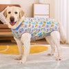 KUVEELA PET Large Dogs, Medium Dogs, Postoperative Clothes, Female, Male,