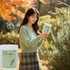 Rosemary Extract Powder Polyphenol Food Content Rosemary Acid Carnosic Acid