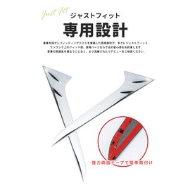 Share Style [Set] RAIZE Rise A200 A210 Rear Pillar Garnish and Headlight Trim [43-44] [J]