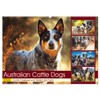 Australian Cattle Dogs. Real Cowboys and Heroes of the Farm