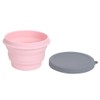 1L Portable Collapsible Silicone Bowl with Lid Food Storage Containers