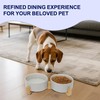 OniAnt Ceramic Dog and Cat Bowls with Wooden Stand, Modern