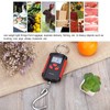 Electronic Scales with Hooks, 200 kg Portable Digital LCD Display