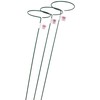 Bosmere E553 48-Inch Plant Stem Support with 6-Inch Hoop, 3-Pack