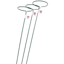 Bosmere E553 48-Inch Plant Stem Support with 6-Inch Hoop, 3-Pack