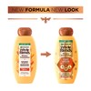 Garnier Whole Blends Repairing Shampoo Honey Treasures, For Damaged Hair,