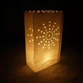 Quasimoon Sunburst Paper Luminaries / Luminary Lantern Bags Path Lighting (10...