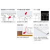 Niigata Seiki SK CAGS-15KD Acrylic Square Ruler, Made in Japan,