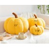 Maxpetus 3D Simulated Pumpkin Pillow Plush Pillow Sofa Cushion (11inch,