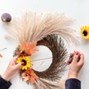 Temfmy Rattan twig Branch Grapevine Wreaths - 18 Inch Sunburst