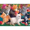 Cra-Z-Art Fancy Cats 750 Piece Jigsaw Puzzle - Kittens at