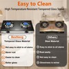 BesNerg 2 burner propane stove two burner, Portable Tempered Glass
