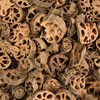 Oh Herb 국산 연근차 볶은연근 1kg Domestic Lotus Root Tea
