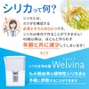 Welvina Silica Water Purifier Pot Pitcher Type with 1 Cartridge