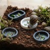 10 Pcs Ant Feeding Dish Spider Plastic Feeder Cricket Eating