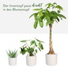 elho B.for Soft Round - Flower Pot for Indoor Use