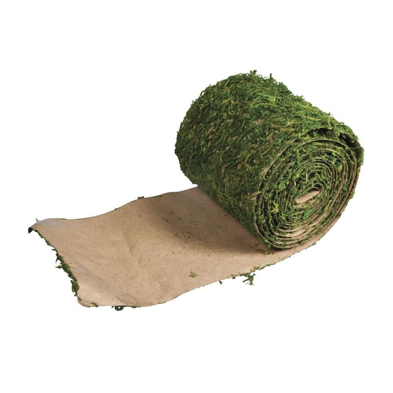 Rayher 5531800 Moss Ribbon 10 cm Wide by 200 cm