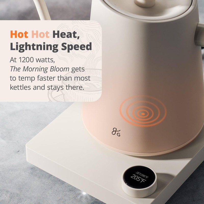 Greater Goods Electric Gooseneck Kettle, 1200W Stainless Steel with Precision