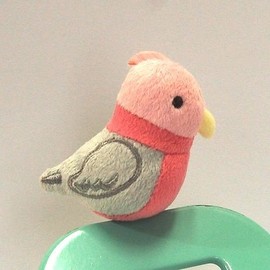 cocorita Peacock Magnet