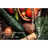 Super Lactic Acid Bacteria Genki Kaiho 5.3 oz (150 g)