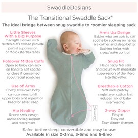 SwaddleDesigns Swaddle Sack with Arms Up, Tiny Hedgehog, Black, Medium, 3-6Mo, 14-21 lbs (SD-701BK-M)