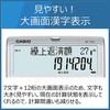 Casio Financial Calculator
