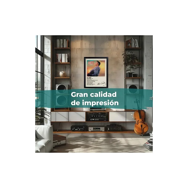 Poster Decorativo Daddy Yankee Album - El Cangri Com