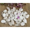 Wholesale Lot 36 Pcs Natural Clear Quartz Crystal Pendant Healing